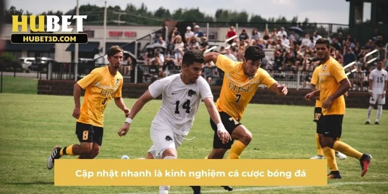 Cập nhật nhanh là kinh nghiệm cá cược bóng đá